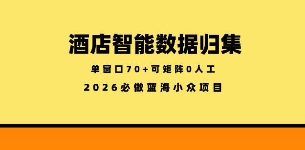 酒店智能数据归集，小众蓝海已经稳定半年之久，单窗口70+零成本矩阵开干【揭秘】-搞钱利器