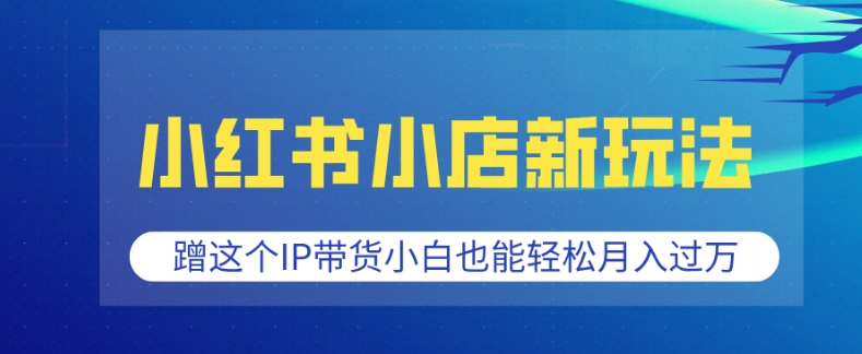 小红书小店新玩法，蹭这个IP带货，小白也能轻松月入过W【揭秘】-搞钱利器