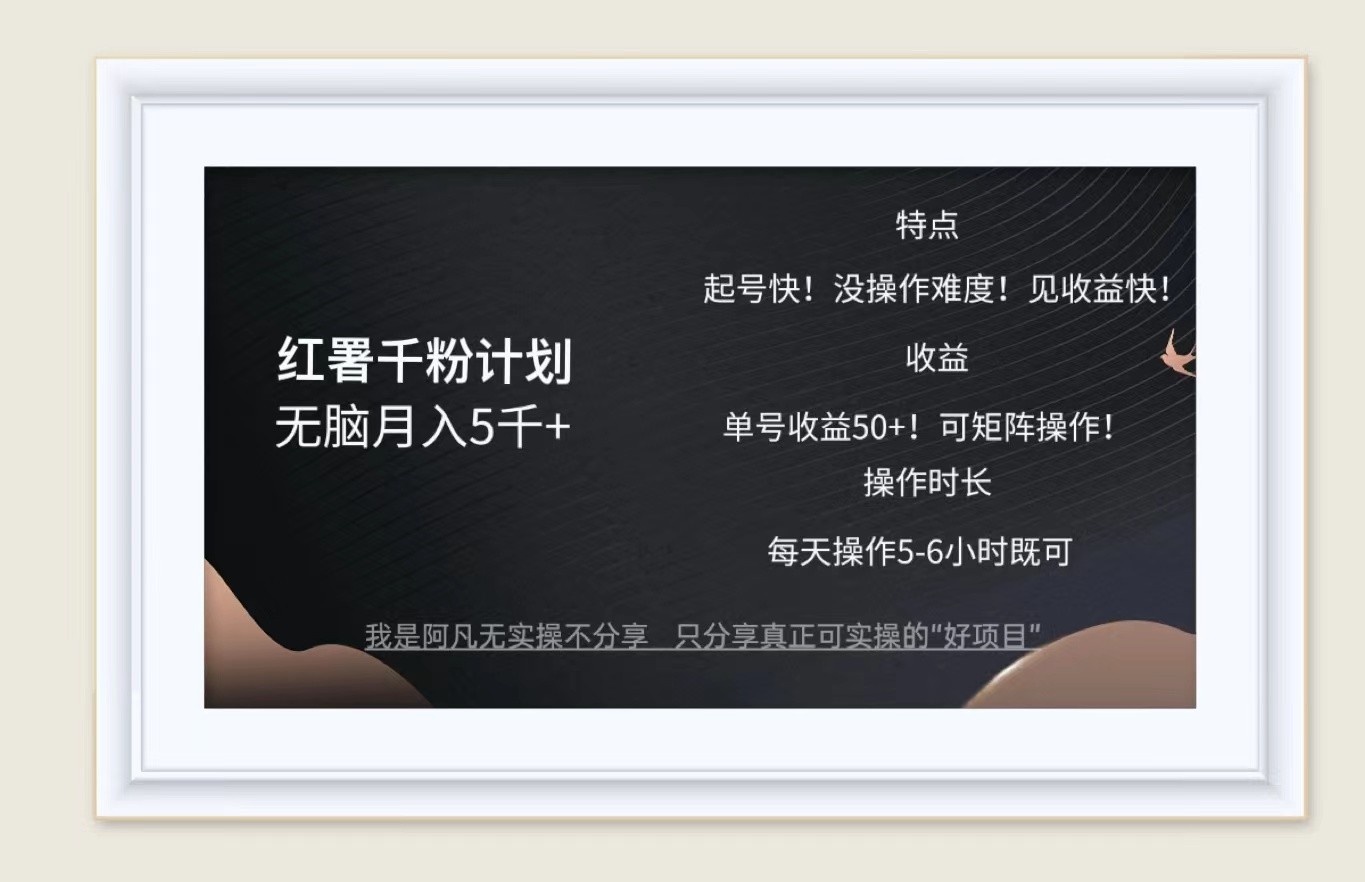 红薯千粉计划无脑月入5千+！既做既赚！-搞钱利器