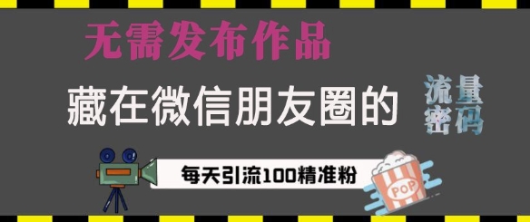 藏在微信朋友圈的流量密码，无需发布作品，单日引流100+精准创业粉【揭秘】-搞钱利器