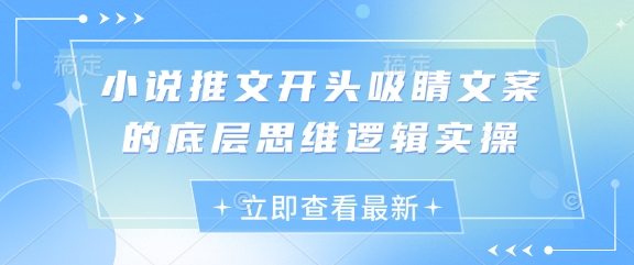 小说推文开头吸睛文案的底层思维逻辑实操-搞钱利器