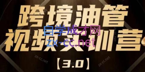 阿蔺Leo·跨境油管视频YouTube实训营(更新2025)-搞钱利器