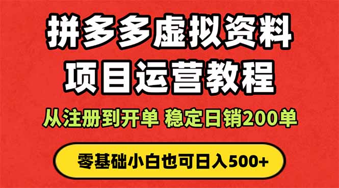 拼多多开店运营课程： 蓝海变现玩法，轻松实现睡后收入 零基础小白也可…-搞钱利器