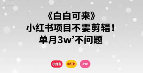 小白可来 小红书项目不需要剪辑 单月3w不是问题-搞钱利器