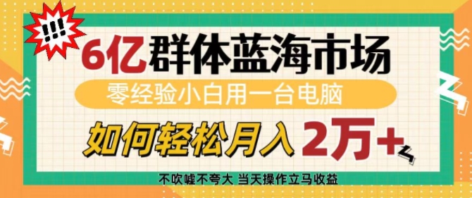 6亿群体蓝海市场，零经验小白用一台电脑，如何轻松月入过w【揭秘】-搞钱利器