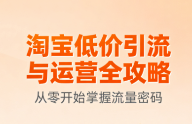 淘宝低价引流与运营全攻略(更新9月)-搞钱利器