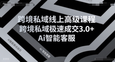跨境私域线上高级课程，跨境私域极速成交3.0+Ai智能客服-搞钱利器