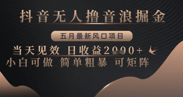 抖音无人撸音浪掘金，五月最新风口项目，当天见效，日收益多张，小白可做简单粗暴可矩阵【揭秘】-搞钱利器