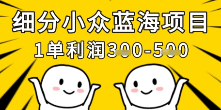 细分小众蓝海项目，一单利润3张，每月收入稳定过1w+-搞钱利器