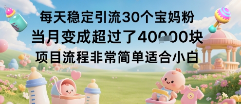 每天稳定引流30个宝妈粉当月变成超过了1W+项目流程非常简单适合小白-搞钱利器
