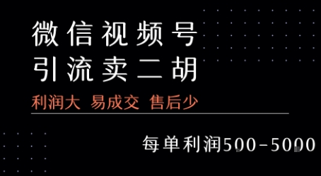 视频号卖二胡教程，利润大 易成交 售后少，一单利润5张+-搞钱利器