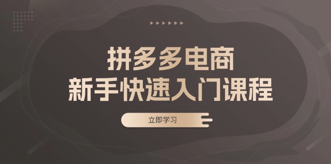 拼多多电商新手快速入门课程：涵盖基础、实战与选款，助力小白轻松上手-搞钱利器