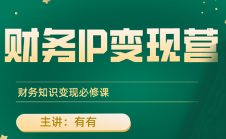 有有老师·财务IP变现营，财务知识变现必修课-搞钱利器