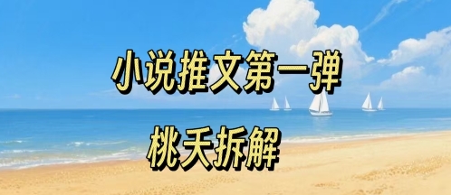 小说推文项目操作全流程第一弹，0粉就能做，门槛低非常适合新手-搞钱利器