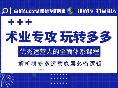 术业专攻玩转多多，优秀运营人的全面体系课程，解析拼多多运营底层必备逻辑-搞钱利器