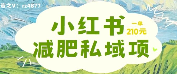 小红书减肥粉，私域变现项目，一单就达210元，小白也能轻松上手【揭秘】-搞钱利器