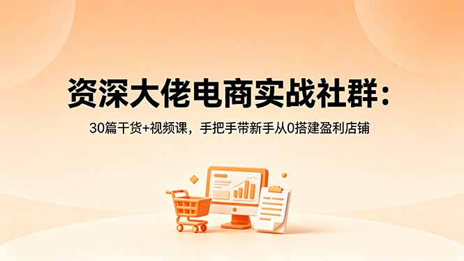 资深大佬电商实战社群：30篇干货+视频课，手把手带新手从0搭建盈利店铺-搞钱利器