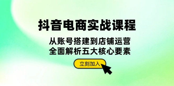 抖音 电商实战课程：从账号搭建到店铺运营，全面解析五大核心要素-搞钱利器