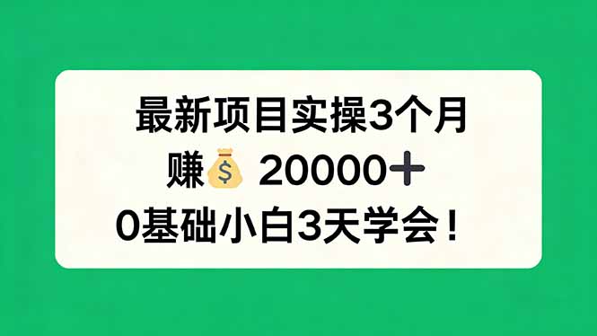 最新项目实操3个月，赚钱20000+，0基础小白3天学会！-搞钱利器