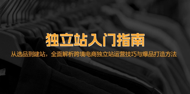 独立站入门指南：从选品到建站，全面解析跨境电商独立站运营技巧与爆品…-搞钱利器