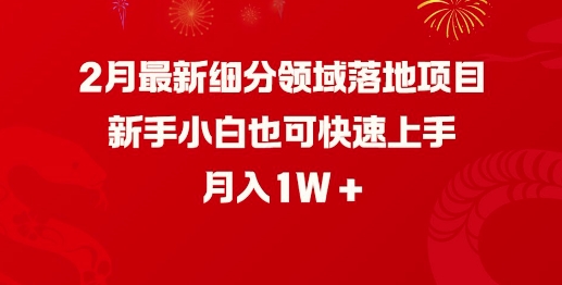 2月最新细分领域落地项目，新手小白也可快速上手，月入1W-搞钱利器