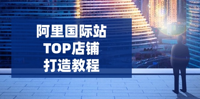 阿里国际站TOP店铺打造教程：涵盖平台到高阶，解决运营难题，提升询盘-搞钱利器