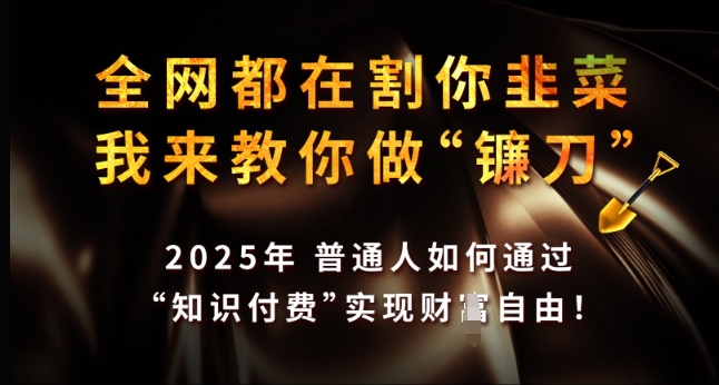 全网都在割你韭菜，我来教你做镰刀，2025年普通人如何通过 知识付费 实现财F自由【揭秘】-搞钱利器
