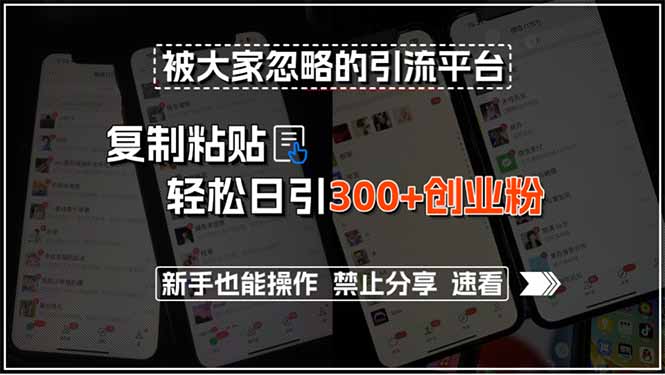 被大家忽略的引流平台，复制粘贴轻松日引300+创业粉，新手也能操作，禁…-搞钱利器