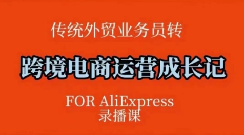 跨境电商速卖通运营课，​运营方法论+后台实操，逻辑清晰-搞钱利器
