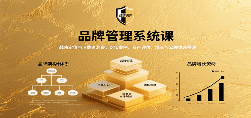 品牌管理系统课：战略定位与消费者洞察，DTC案例、资产评估，增长与公关体系搭建-搞钱利器