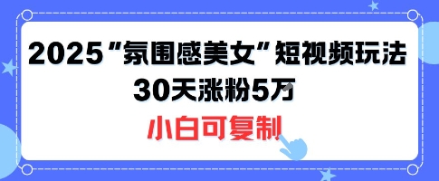 不露脸也能火！2025“氛围感美女”短视频玩法，30天涨粉5W小白可复制-搞钱利器