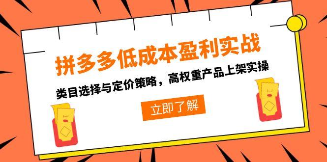 拼多多低成本盈利实战，类目选择与定价策略，高权重产品上架实操-搞钱利器