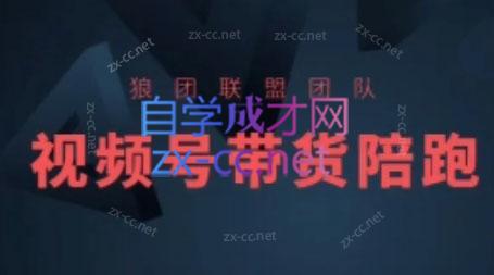 狼团联盟·2024视频号带货-搞钱利器