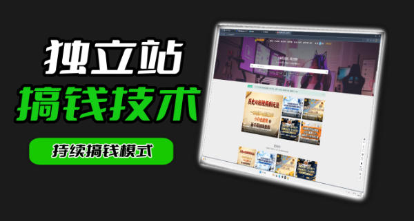 干货来袭！麦子甜带你吃透独立站｜从搭建到引流一站式教学《独立站》第一期-搞钱利器