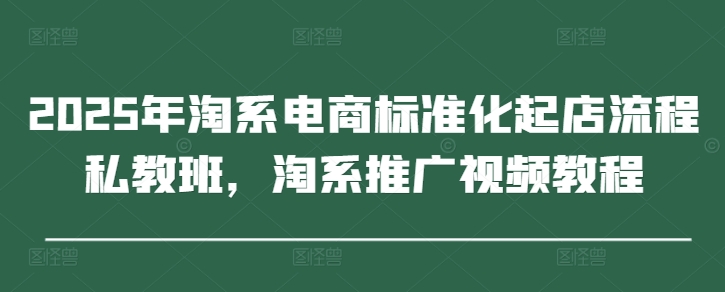 2025年淘系电商标准化起店流程私教班，淘系推广视频教程-搞钱利器