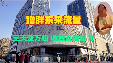 蹭胖东来流量，三天涨万粉，收益直接起飞-搞钱利器