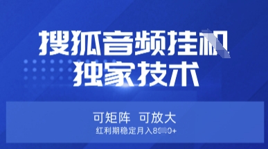 【搜狐音频挂G】独家技术，可矩阵可放大，红利期稳定月入8k【揭秘】-搞钱利器