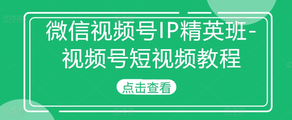 微信视频号IP精英班-视频号短视频教程-搞钱利器