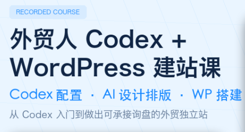 大卫·外贸人Codex + WordPress建站课(更新8月)-搞钱利器