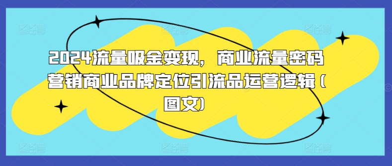 2024流量吸金变现，商业流量密码营销商业品牌定位引流品运营逻辑(图文)-搞钱利器