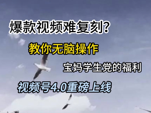 视频号4.0重磅上线，爆款视频难复刻？教你无脑操作宝妈学生党的福利【揭秘】-搞钱利器