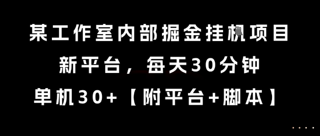 某工作室内部掘金挂G项目，新平台，每天30分钟，单机30+【揭秘】-搞钱利器