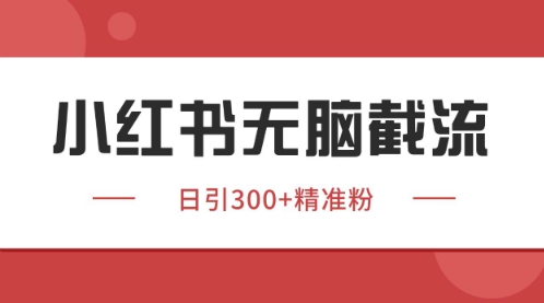 小红书只要你有同行就能获客，独家野路子获客玩法，暴力截流【揭秘】-搞钱利器