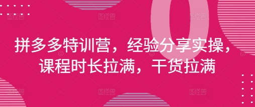 拼多多特训营，经验分享实操，课程时长拉满，干货拉满(更新25年4月)-搞钱利器