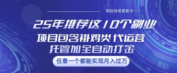 25年推荐这10个副业项目包含褂鸡类、代运营托管类、全自动打金类【揭秘】-搞钱利器