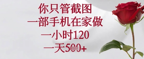 你只管截图，一部手机在家可以做，一小时120.一天5张+【揭秘】-搞钱利器