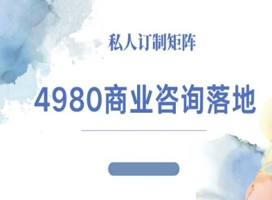 4980商业咨询师落地课程-ip运营高客单教程-搞钱利器