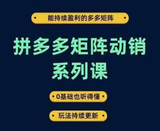 拼多多矩阵动销系列课，能持续盈利的多多矩阵，0基础也听得懂，玩法持续更新-搞钱利器
