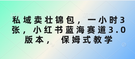 私域卖壮锦包，一小时3张，小红书蓝海赛道3.0版本， 保姆式教学-搞钱利器