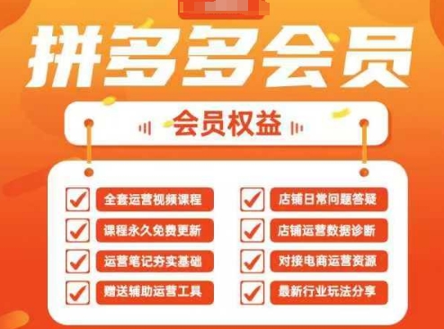 2025拼多多运营实战课，40节全流程教学，覆盖拼多多运营全链路-搞钱利器